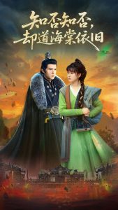 知否知否却道海棠依旧映画