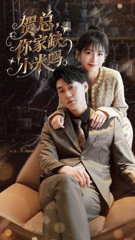 贺总你家缺小米吗映画