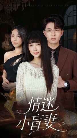 情迷小盲妻封面图