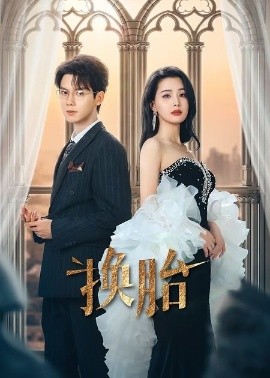 换胎映画