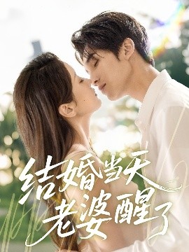 结婚当天老婆醒了映画