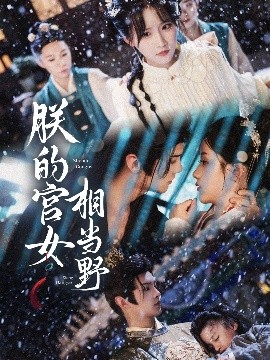 朕的宫女相当野映画
