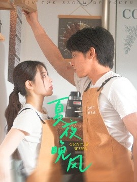 夏夜晚风映画