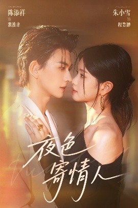 夜色寄情人映画