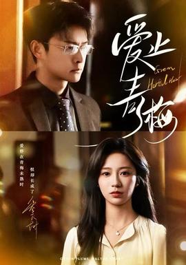 爱止青梅封面图