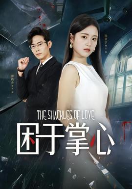 困于掌心封面图