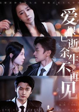 爱恨已逝，余生不再见封面图