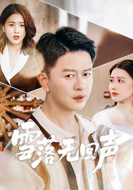 雪落无回声封面图