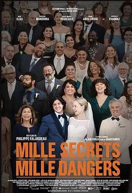 千密千危封面图