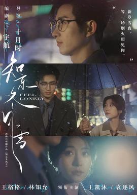 知京冬风雪封面图