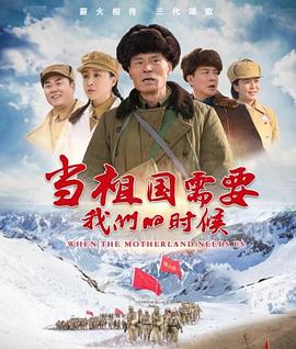 当祖国需要我们的时候 - 国产剧 (2022)