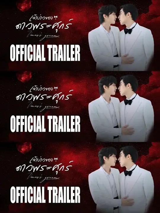 维纳斯的新郎 - 泰剧 2026