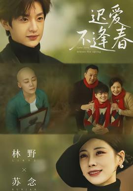 迟爱不逢春 - 现代都市 2026