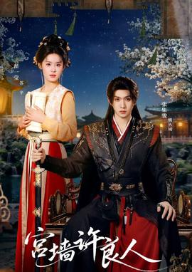 宫墙许良人封面图