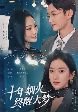 十年烟火，终醒大梦封面图