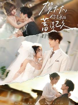 贺太太，你是我的蓄谋已久封面图