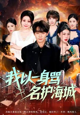 我以一身骂名护海城封面图