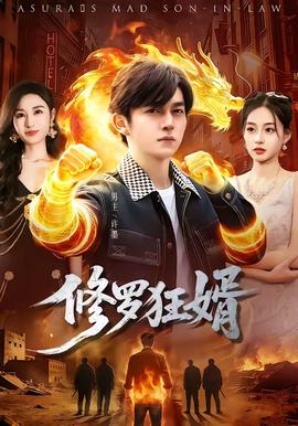 修罗狂婿封面图