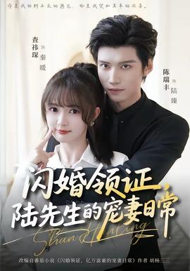 闪婚领证，陆先生的宠妻日常封面图