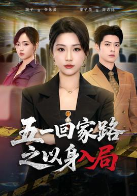 五一回家路之以身入局封面图