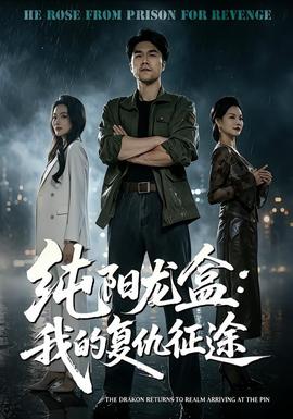 纯阳龙盒：我的复仇征途封面图