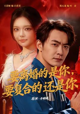 要离婚的是你，要复合的还是你封面图