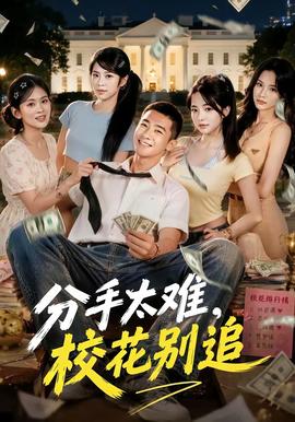 分手太难，校花别追封面图
