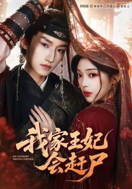 我家王妃会赶尸封面图