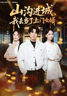 山沟进城，我去当了上门女婿封面图