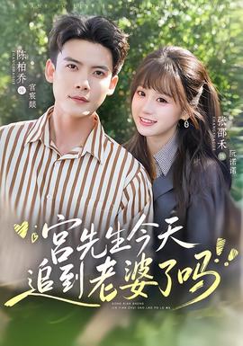 宫先生今天追到老婆了吗封面图