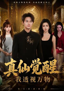 真仙觉醒，我透视万物海报